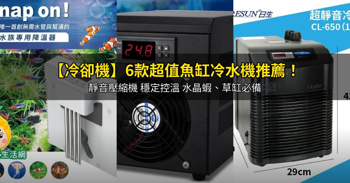 2026【冷卻機】6款超值魚缸冷水機推薦!靜音壓縮機 穩定控溫 水晶蝦、草缸必備|PTT/Dcard嚴選
