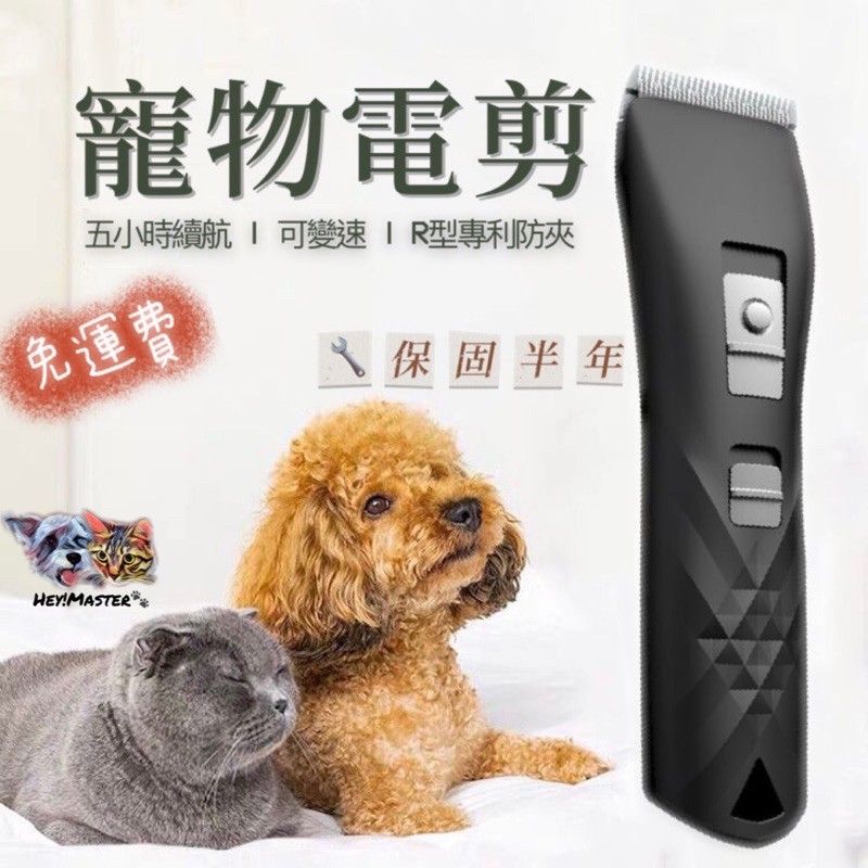 圖片1