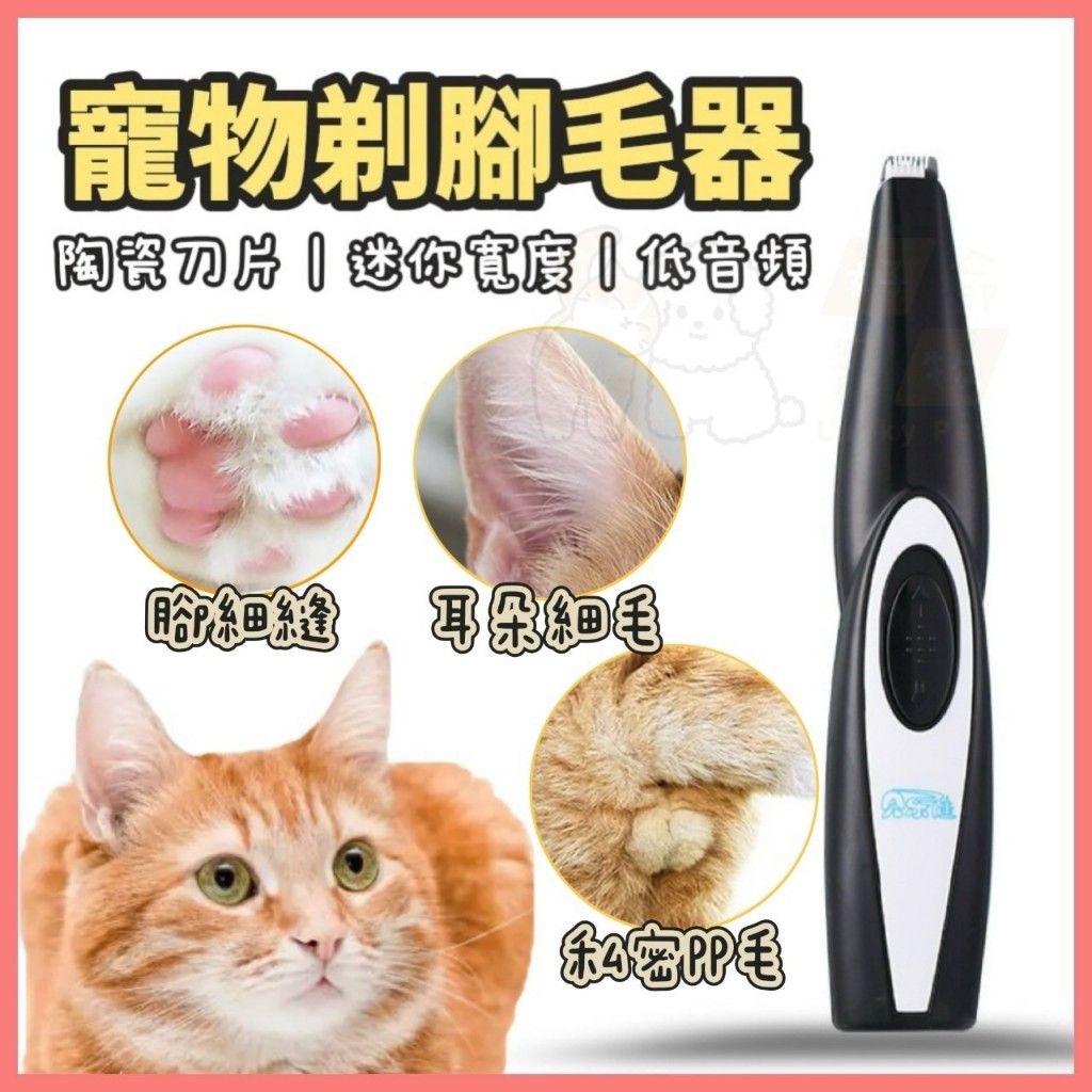 圖片1