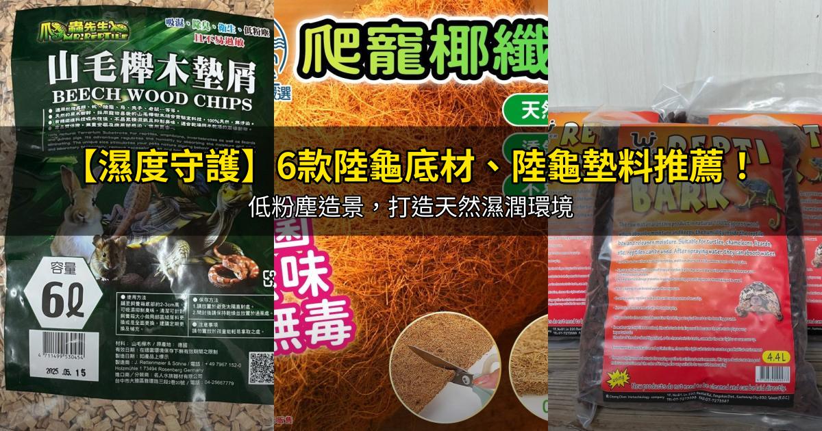 2026【濕度守護】6款陸龜底材、陸龜墊料推薦!低粉塵造景,打造天然濕潤環境|PTT/Dcard嚴選