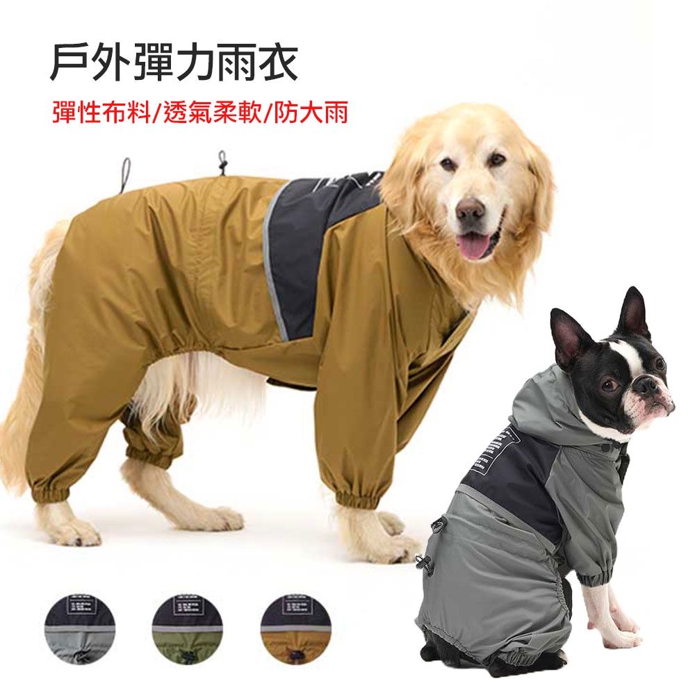 圖1