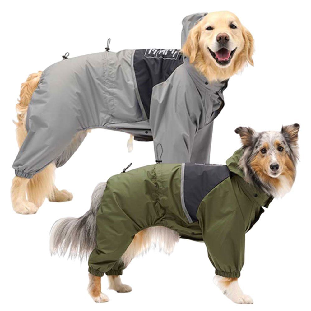 圖3