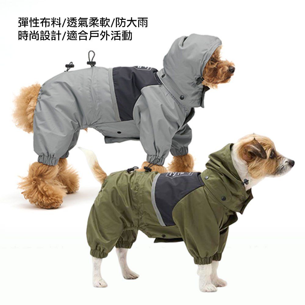 圖2