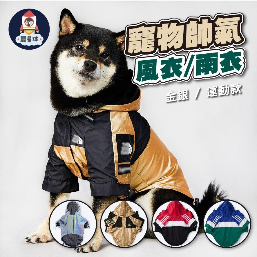 圖1