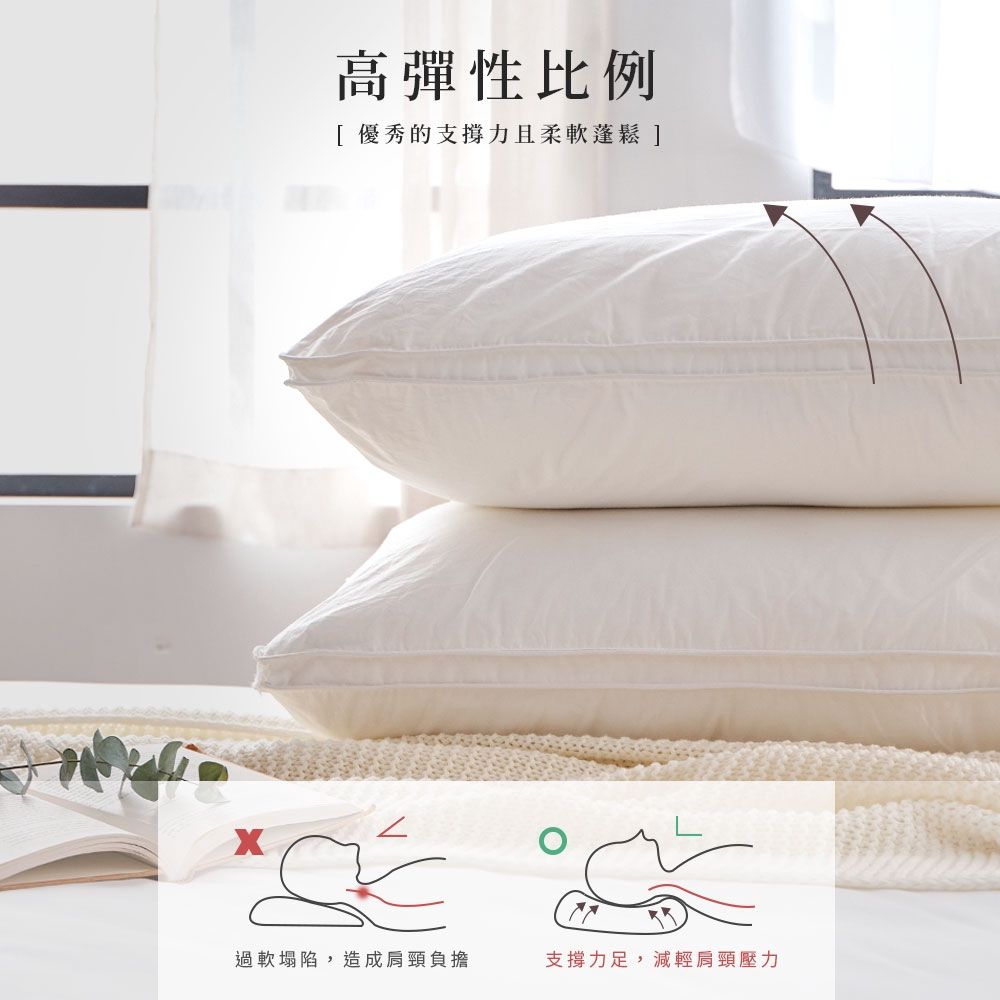 法國天然水鳥羽絨枕細節