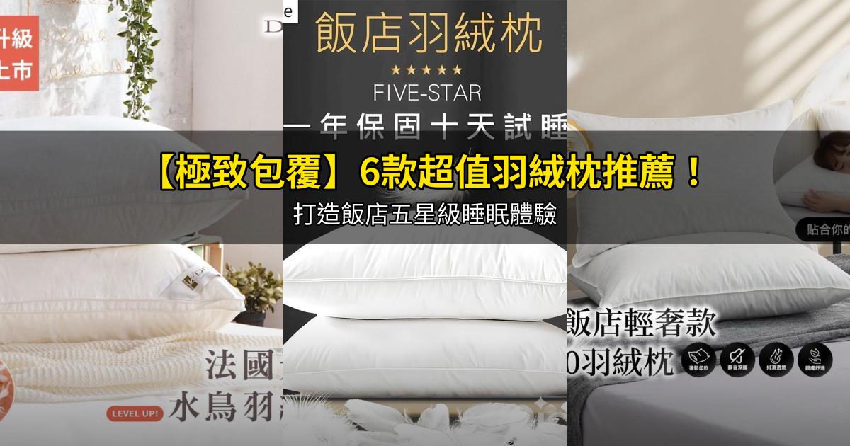 2026【極致包覆】6款超值羽絨枕推薦！打造飯店五星級睡眠體驗｜PTT/Dcard嚴選