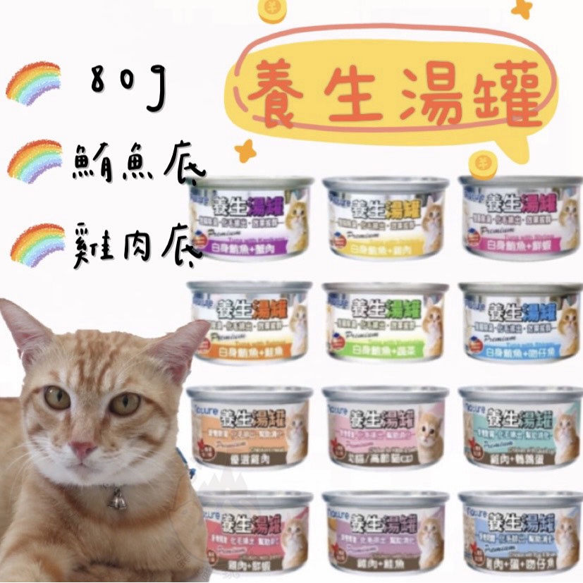 2025【毛孩飼主必看】10款高CP值貓罐頭推薦｜挑嘴貓、化毛與全齡營養首選