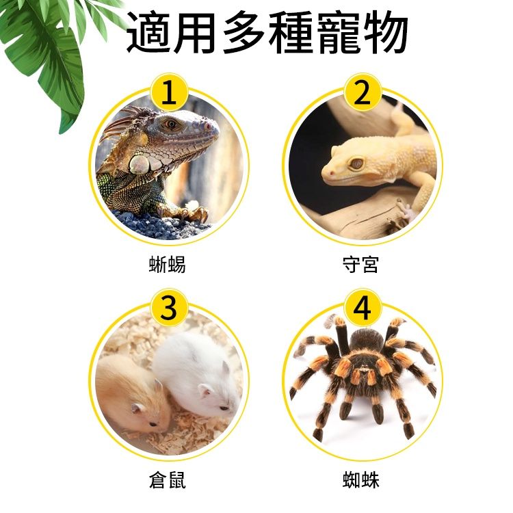 圖片2