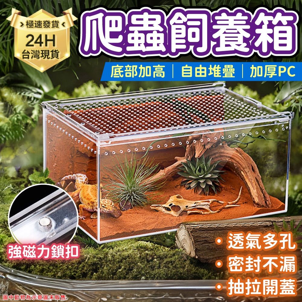 圖片1