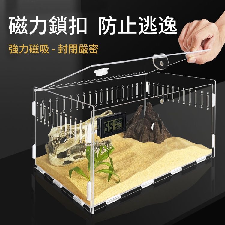 圖片3