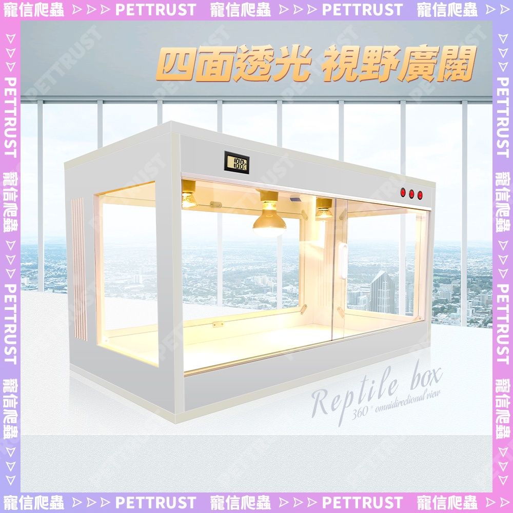 圖片2