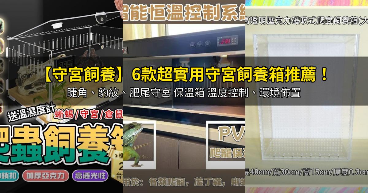 2026【守宮飼養】6款超實用守宮飼養箱推薦!睫角、豹紋、肥尾守宮 保溫箱 溫度控制、環境佈置|PTT/Dcard嚴選