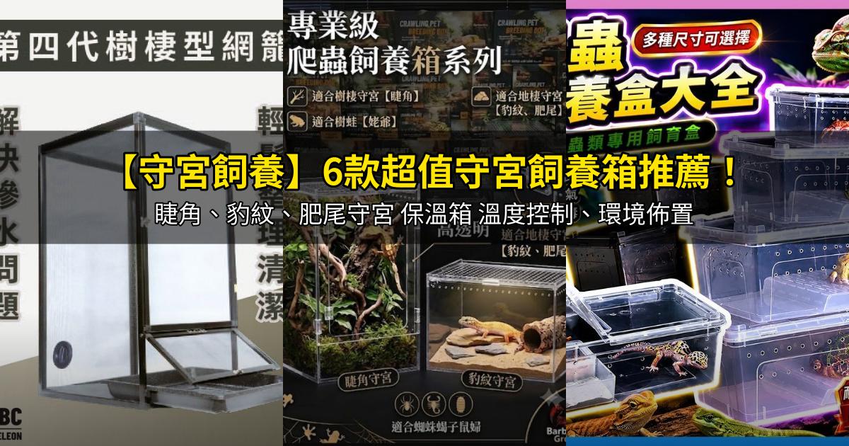 2026【守宮飼養】6款超值守宮飼養箱推薦!睫角、豹紋、肥尾守宮 保溫箱 溫度控制、環境佈置|PTT/Dcard嚴選