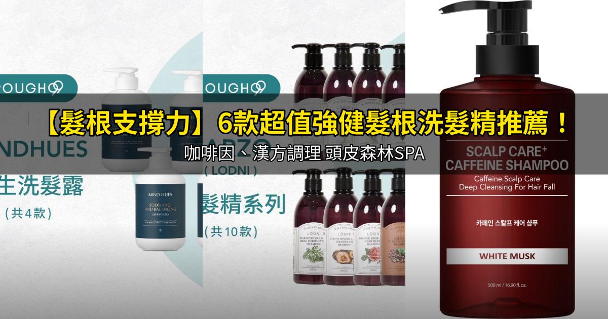 2026【髮根支撐力】6款超值強健髮根洗髮精推薦！咖啡因、漢方調理 頭皮森林SPA｜PTT/Dcard嚴選