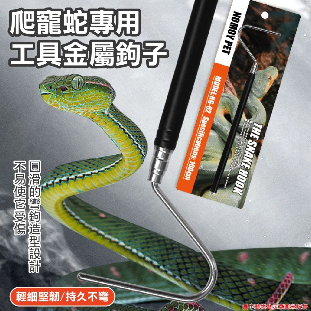 圖片2