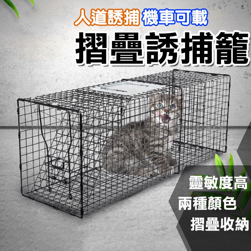 台灣現貨折疊式誘捕籠