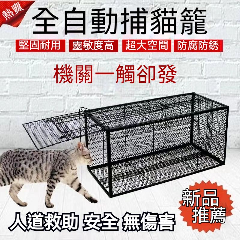 全自動捕貓籠2