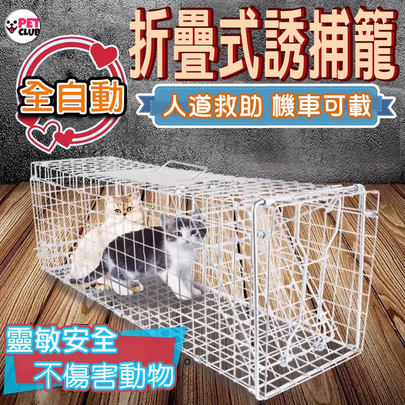折疊式誘捕籠 補貓神器