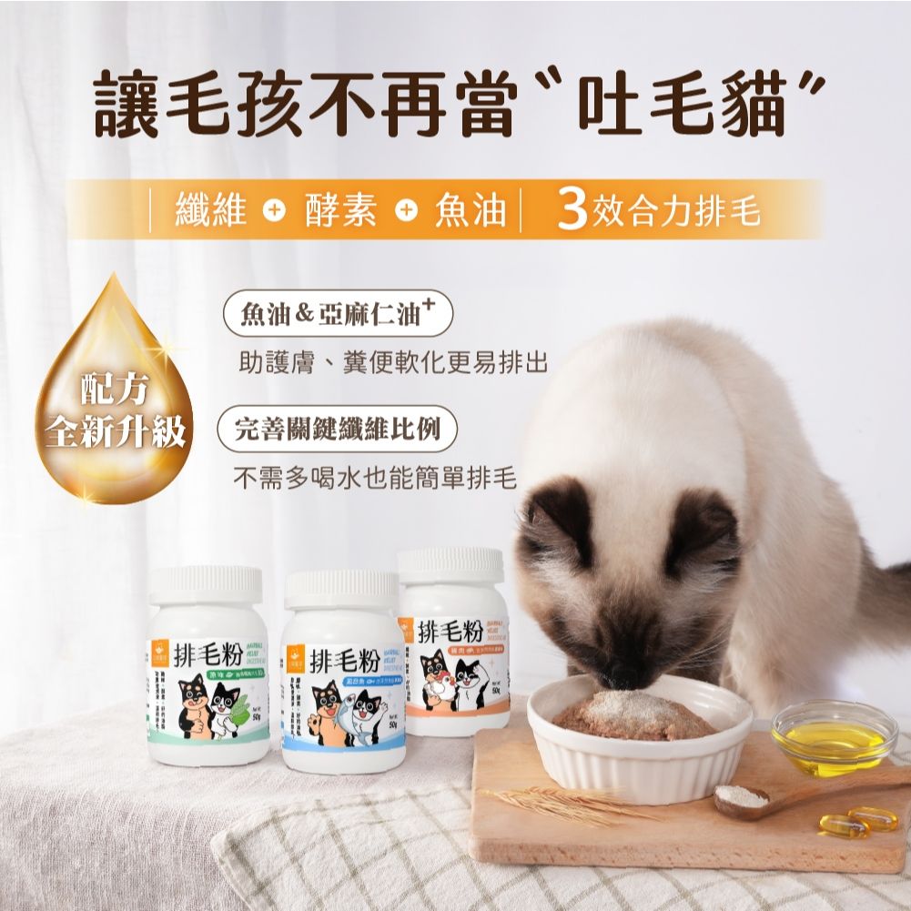 汪喵星球3