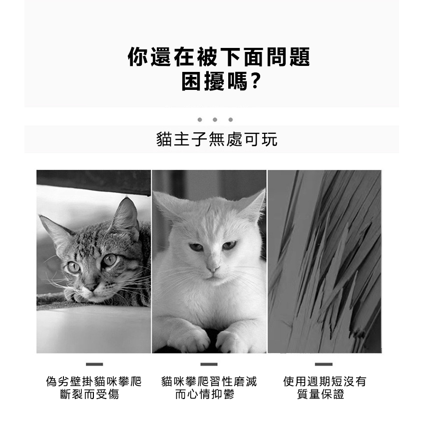 圖片2