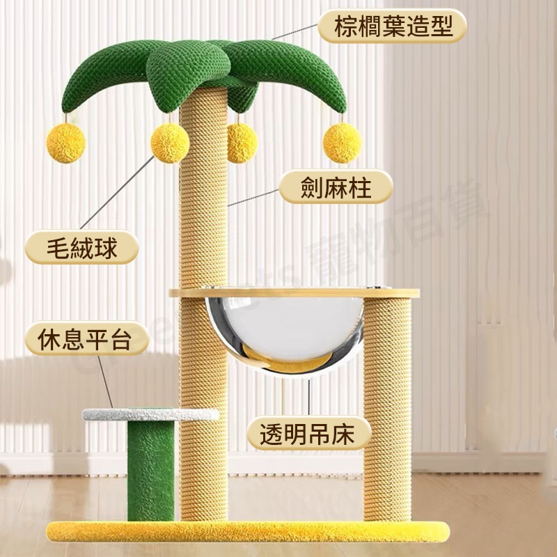 圖片3