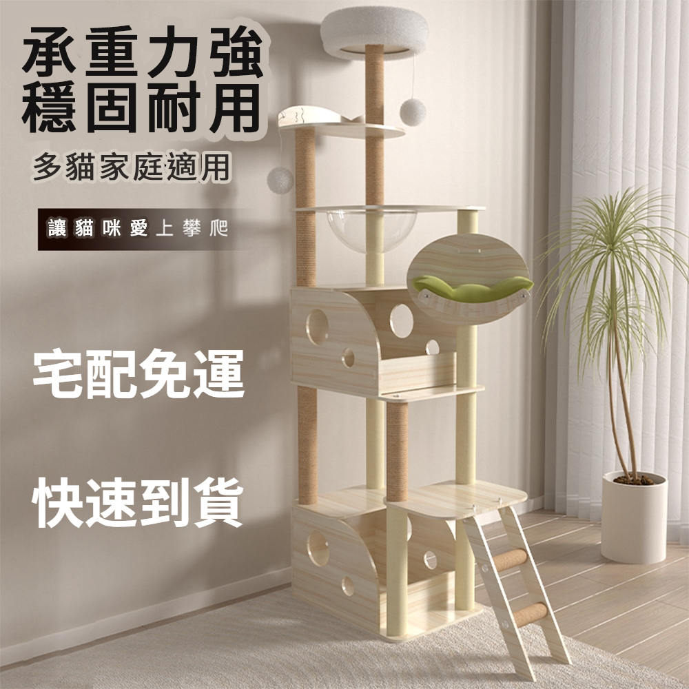 圖片1