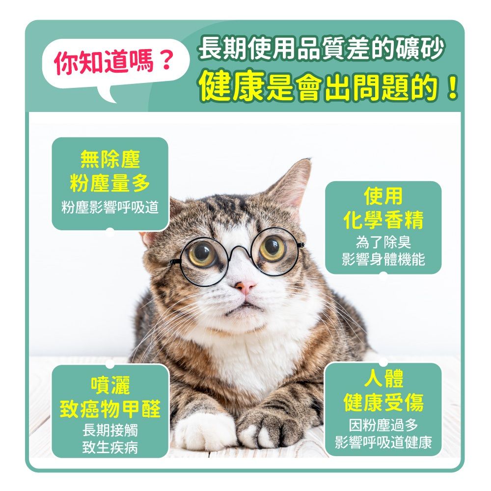 毛孩時代3