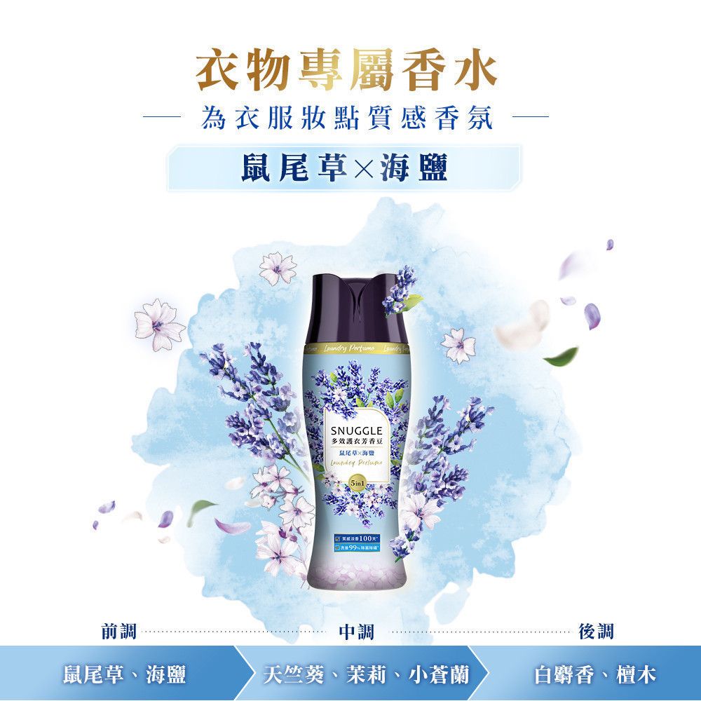 熊寶貝3