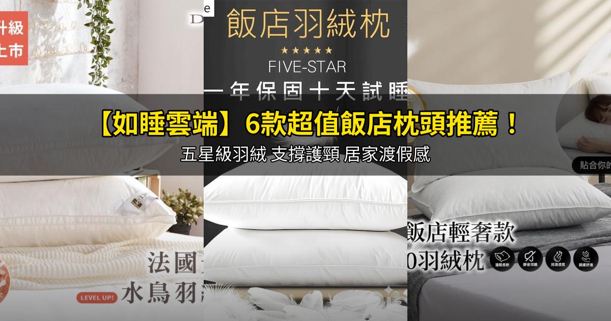 2026【如睡雲端】6款超值飯店枕頭推薦!五星級羽絨 支撐護頸 居家渡假感|PTT/Dcard嚴選