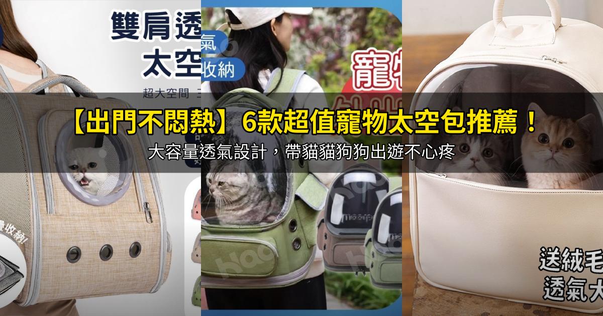 2026【出門不悶熱】6款超值寵物太空包推薦!大容量透氣設計,帶貓貓狗狗出遊不心疼|PTT/Dcard嚴選