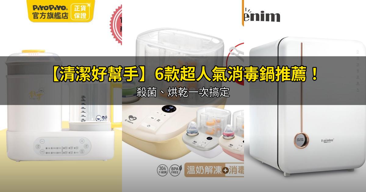 2026【清潔好幫手】6款超人氣消毒鍋推薦!殺菌、烘乾一次搞定|PTT/Dcard嚴選