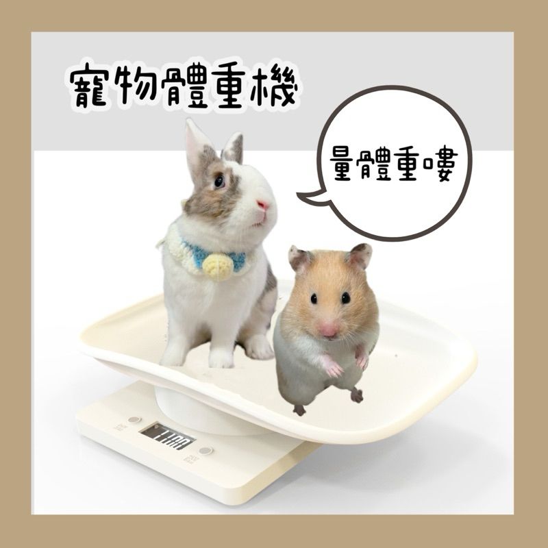 hamitu1