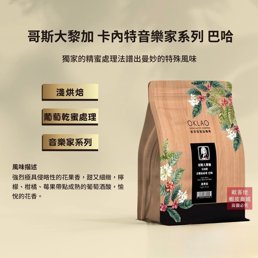 音樂家系列收藏推薦