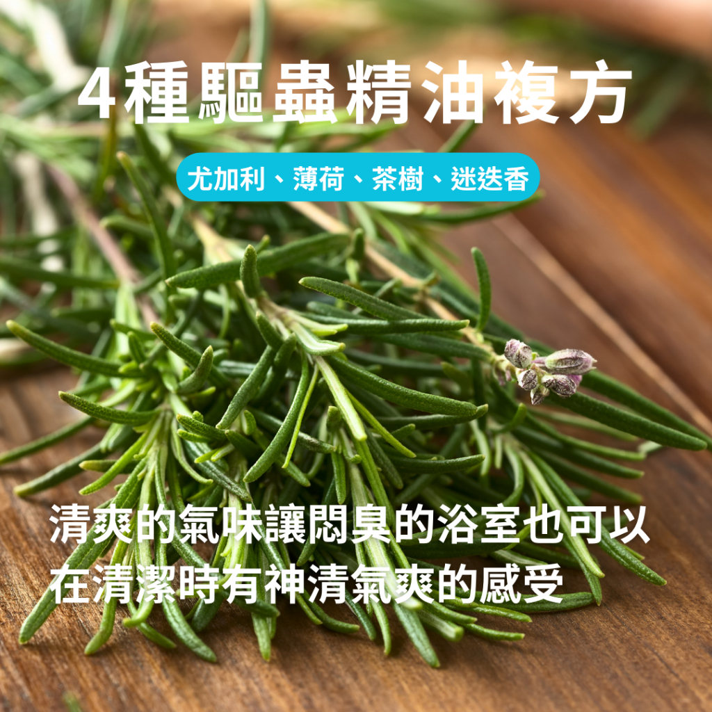 圖片2
