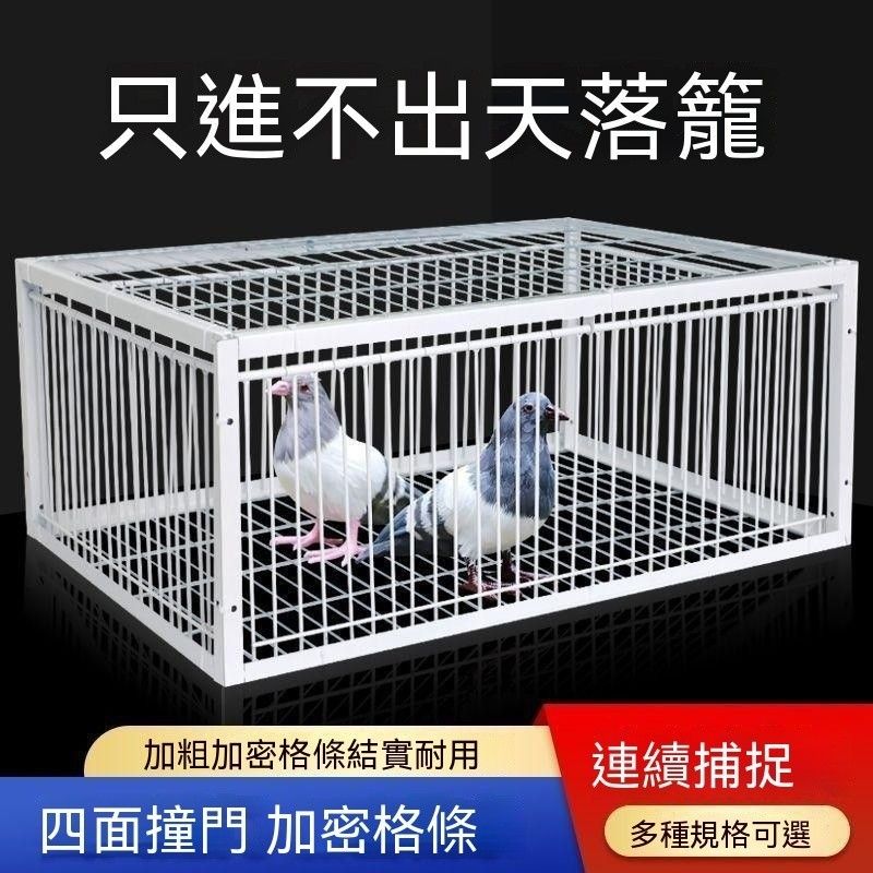 圖片1