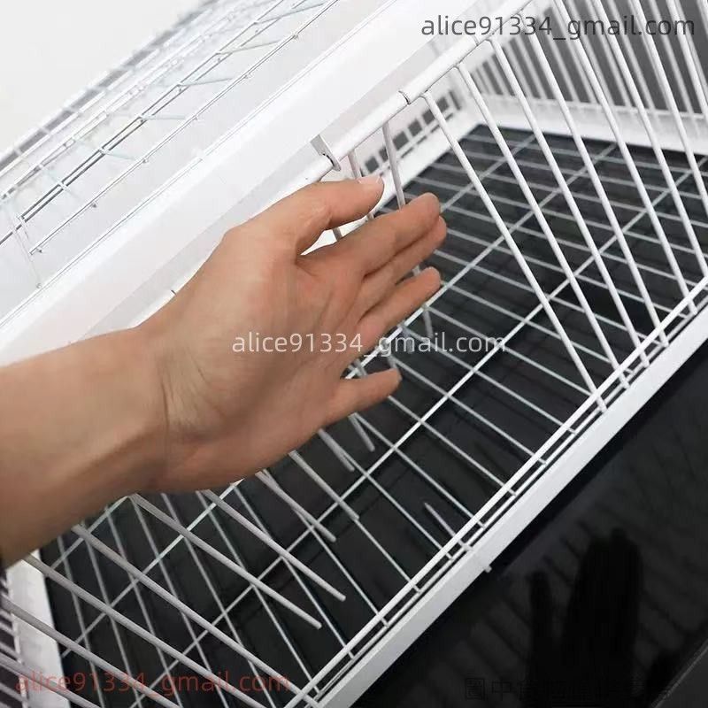 多進口設計細節