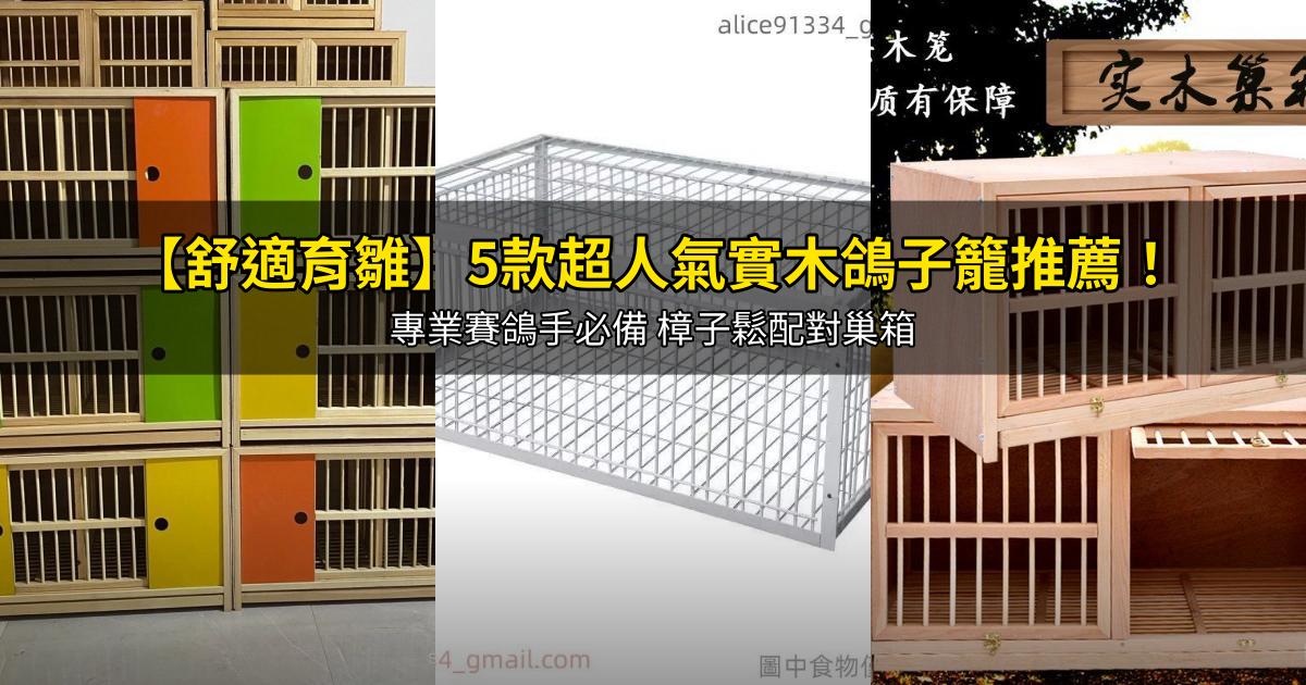 2026【舒適育雛】5款超人氣實木鴿子籠推薦!專業賽鴿手必備 樟子鬆配對巢箱|PTT/Dcard嚴選