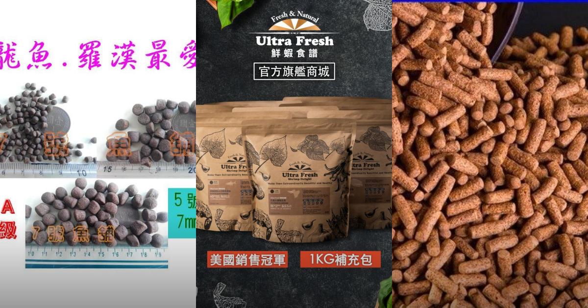 2025【養魚玩家】6款頂級高蛋白龍魚飼料推薦｜挑嘴龍魚 幼魚餵食攻略PTT/Dcard首選