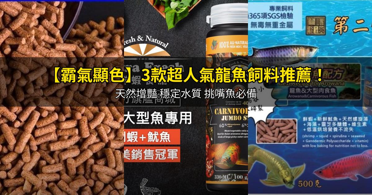 2026【霸氣顯色】3款超人氣龍魚飼料推薦!天然增豔 穩定水質 挑嘴魚必備|PTT/Dcard嚴選