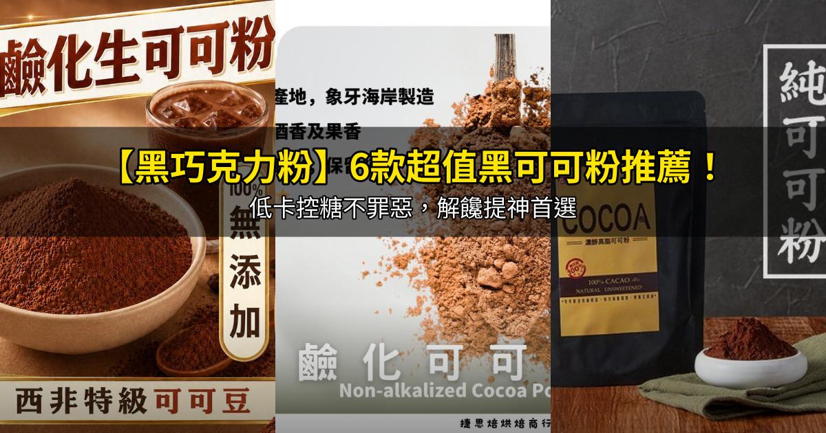 2026【黑巧克力粉】6款超值黑可可粉推薦!低卡控糖不罪惡,解饞提神首選|PTT/Dcard嚴選