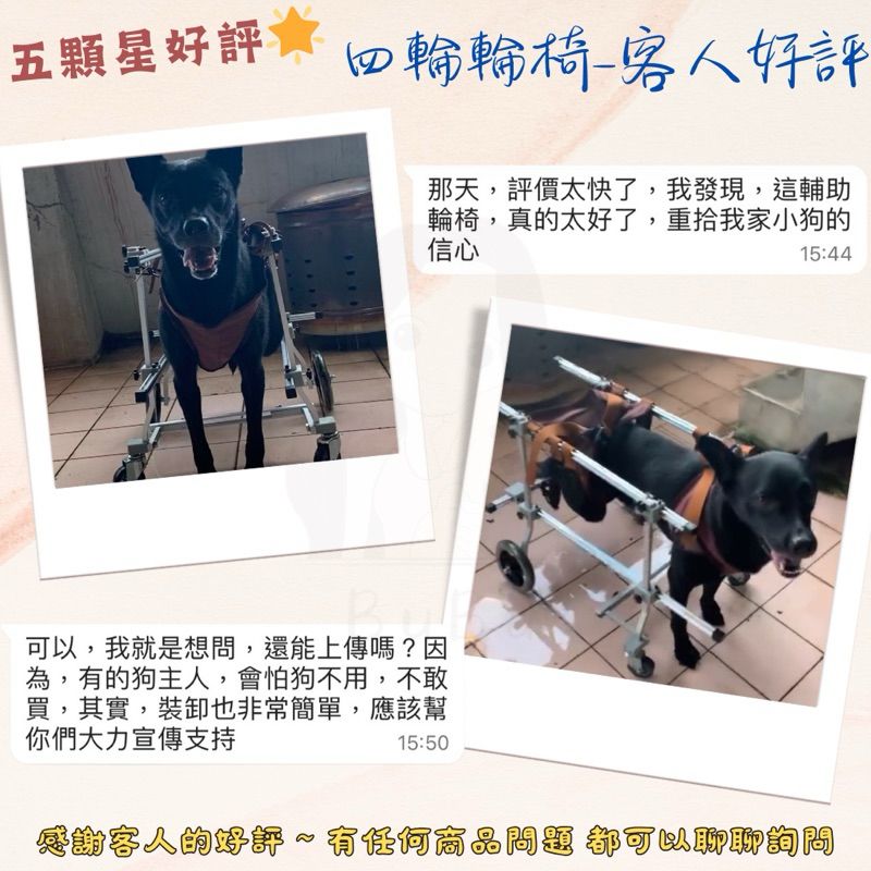 中大型狗四輪輔助輪椅