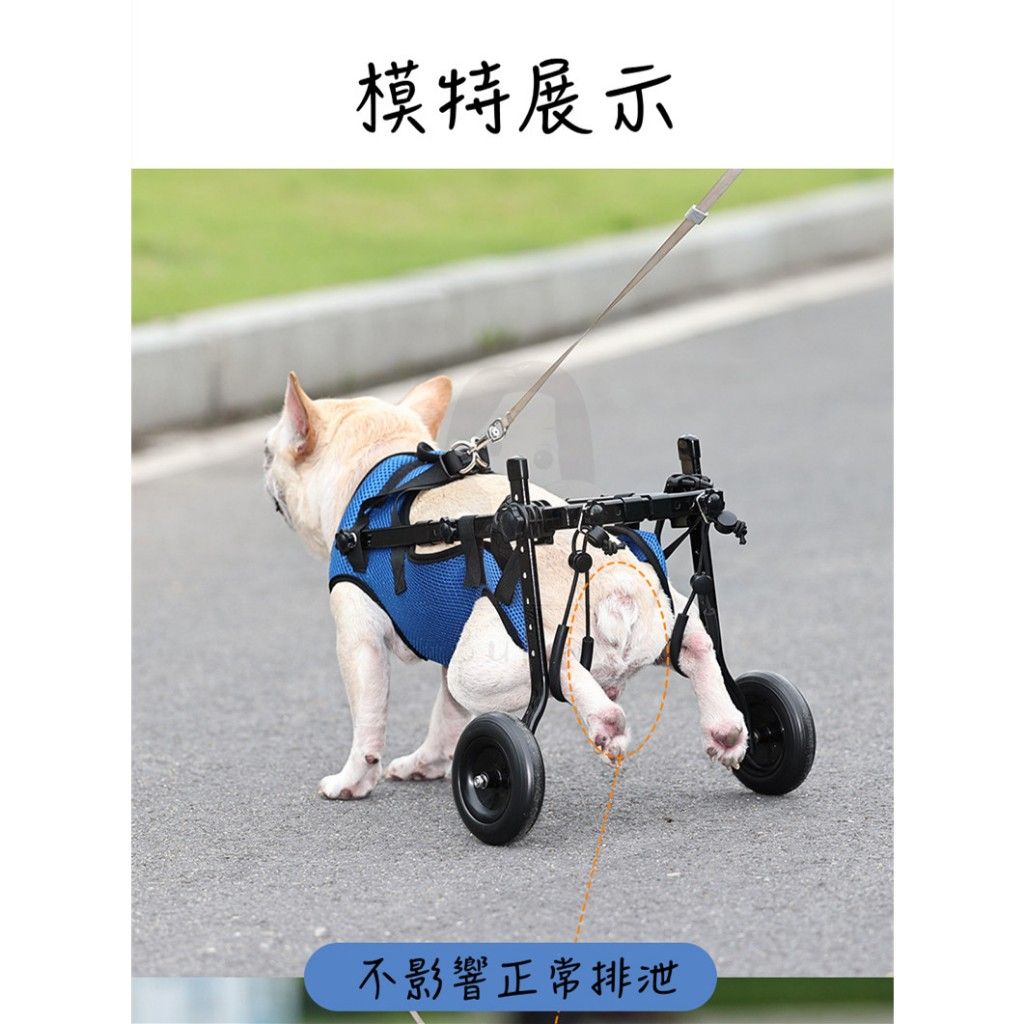 寵物代步輪椅