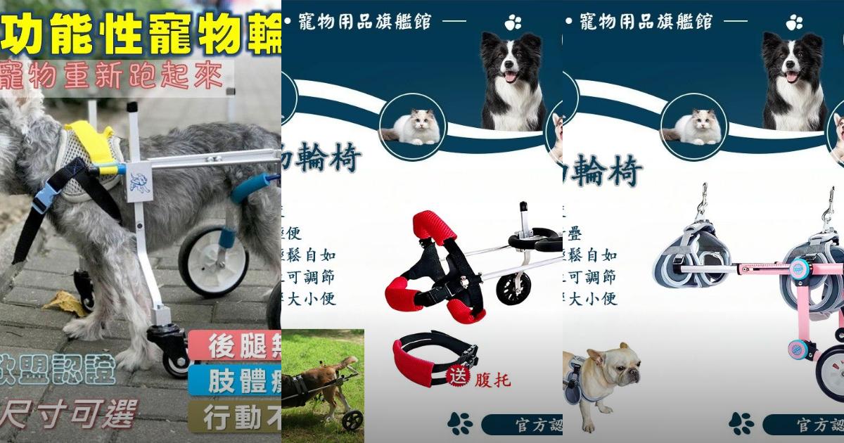 2025【毛孩助行】4款舒適寵物輪椅推薦｜術後康復老年犬貓代步選擇PTT/Dcard評比