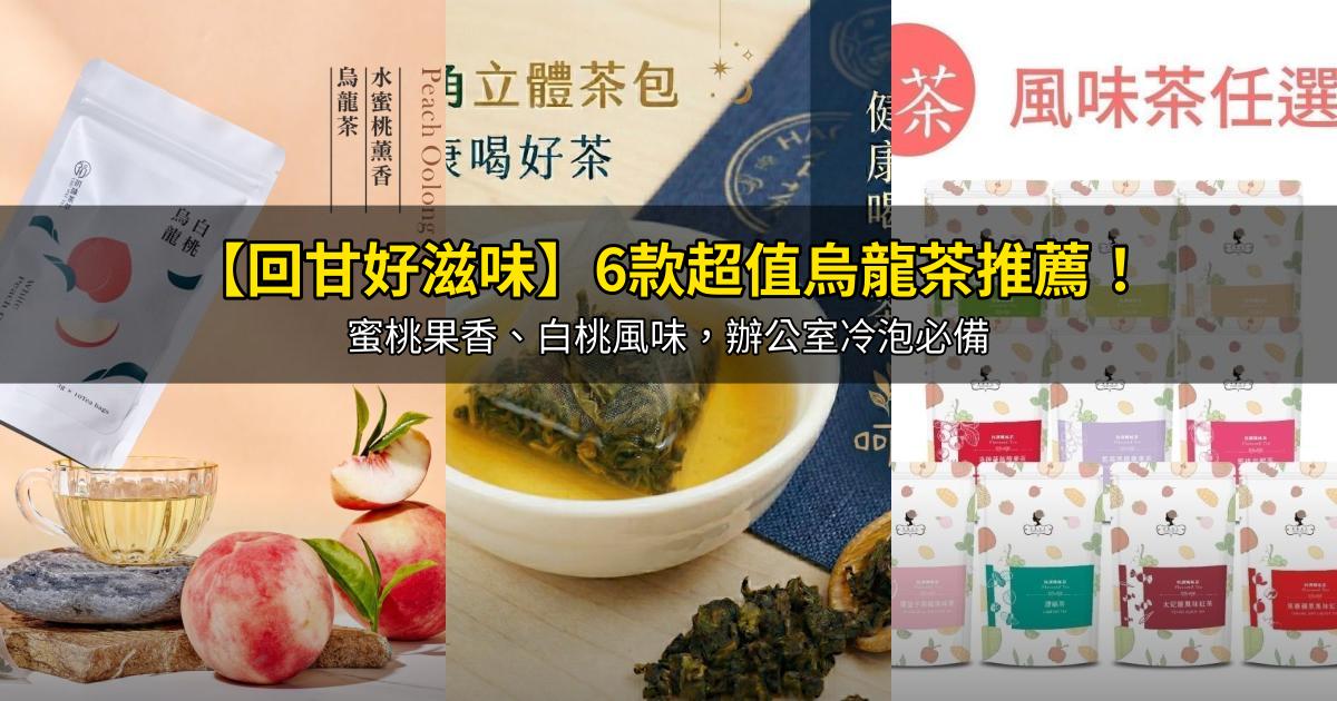 2026【回甘好滋味】6款超值烏龍茶推薦！蜜桃果香、白桃風味，辦公室冷泡必備｜PTT/Dcard嚴選