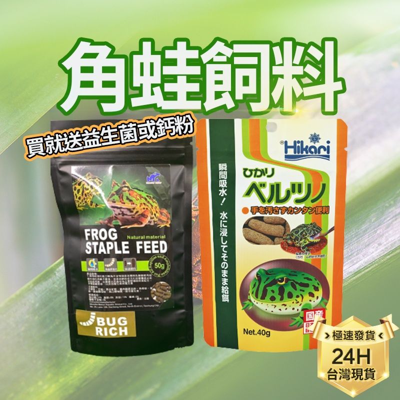 2025【養蛙必備】3款角蛙飼料推薦｜生長健康營養 PTT/Dcard首選