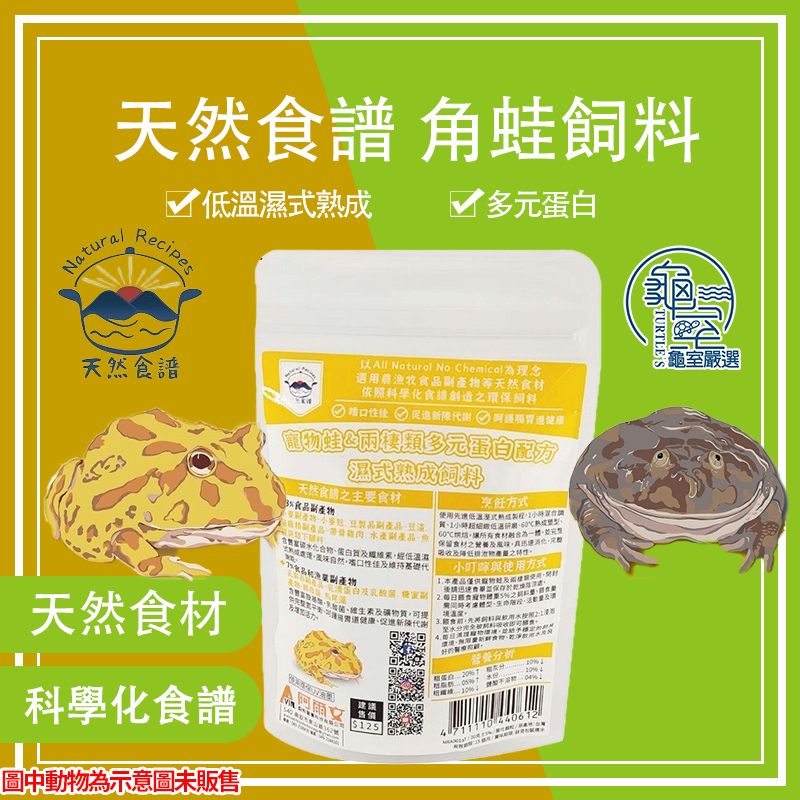 2025【養蛙必備】3款角蛙飼料推薦｜生長健康營養 PTT/Dcard首選