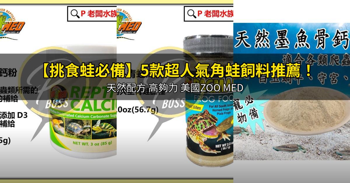 2026【挑食蛙必備】5款超人氣角蛙飼料推薦!天然配方 高夠力 美國ZOO MED|PTT/Dcard嚴選