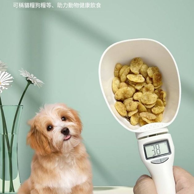 圖片3