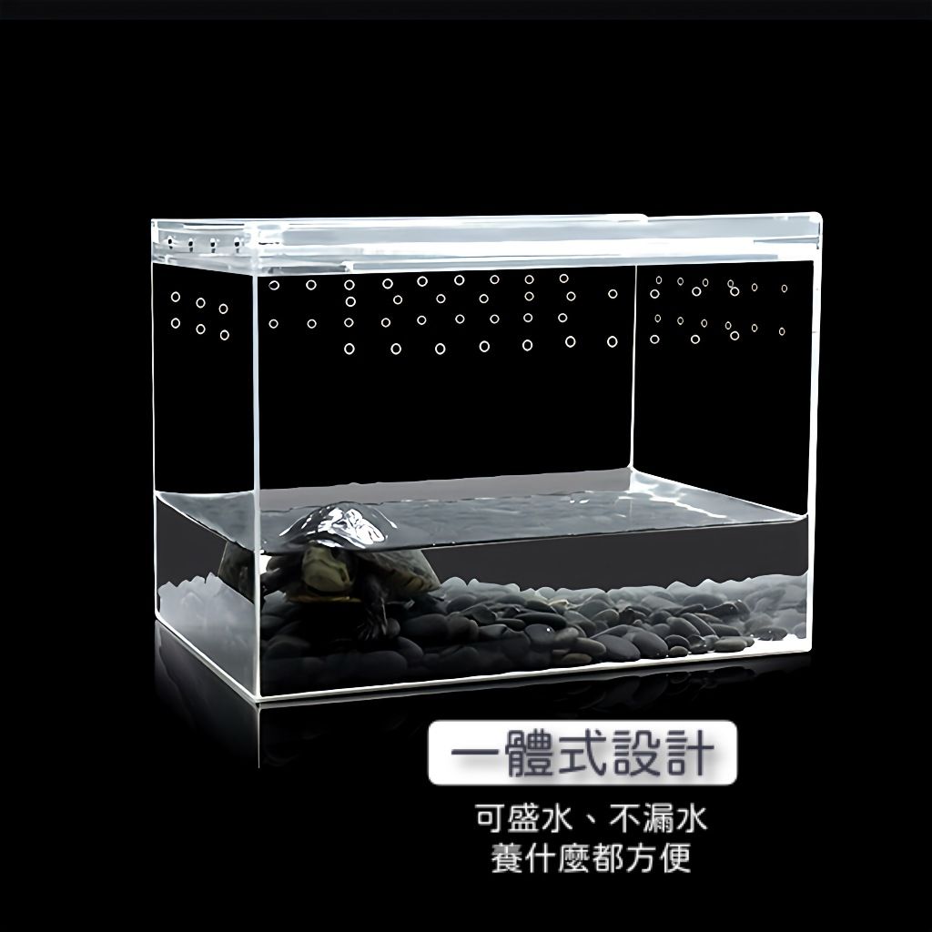 圖片3