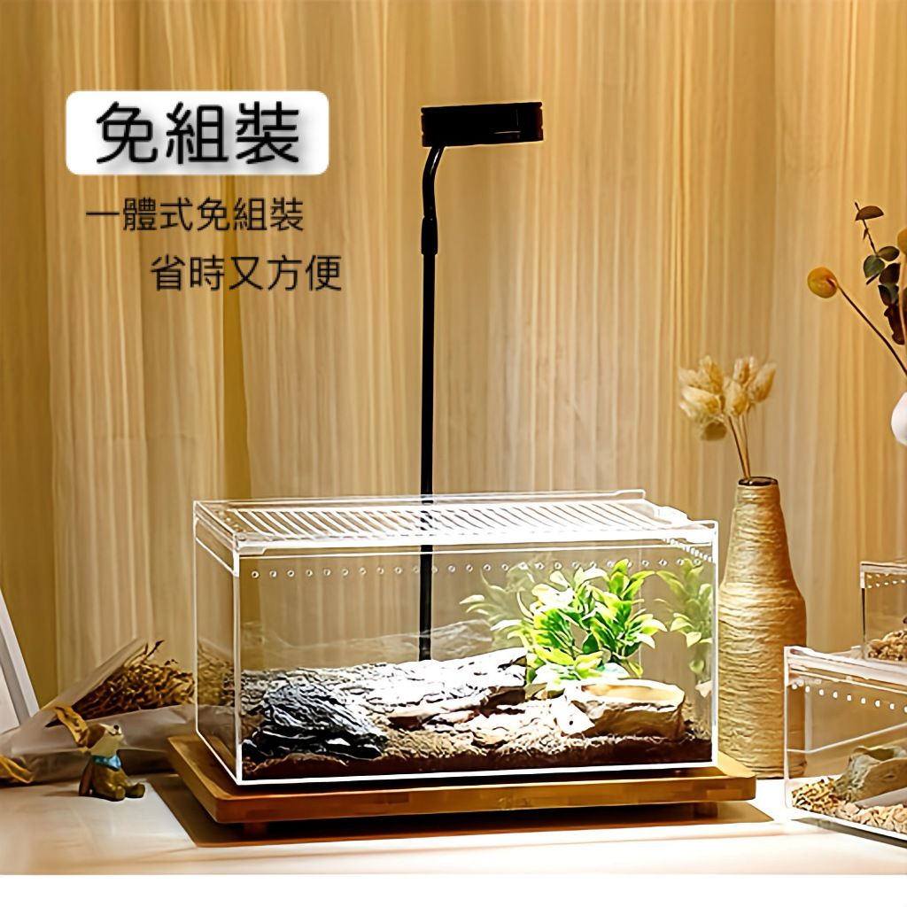 圖片2